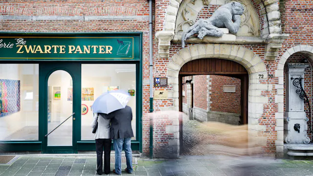 De Zwarte Panter