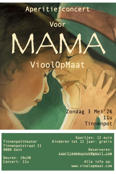 Viool op maat