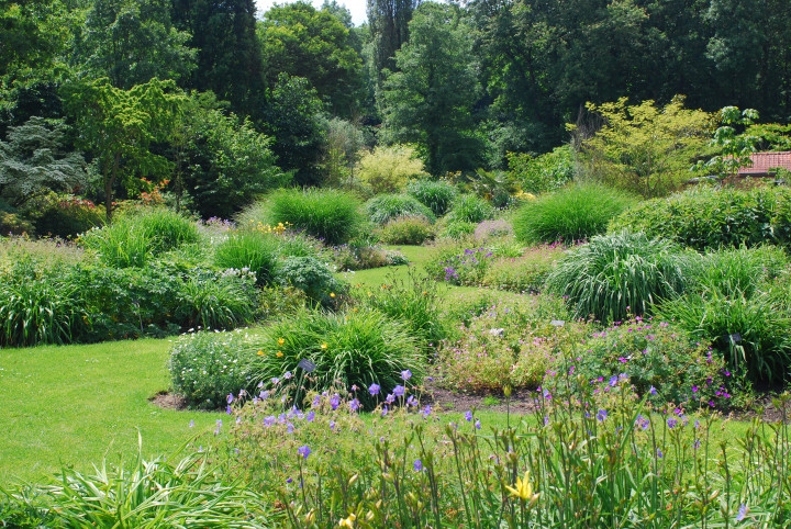 Arboretum provinciaal domein Het Leen