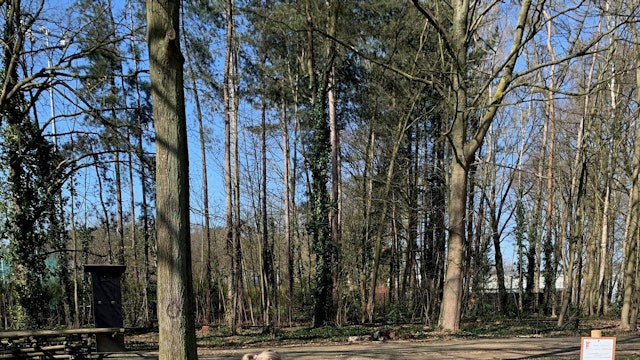 Lentewandeling