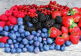 Bezoek aan locale fruitkwekers & horeca proevertjes