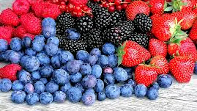 Bezoek aan locale fruitkwekers & horeca proevertjes