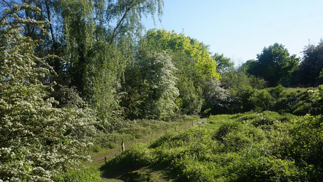 gezondheidswandelingen