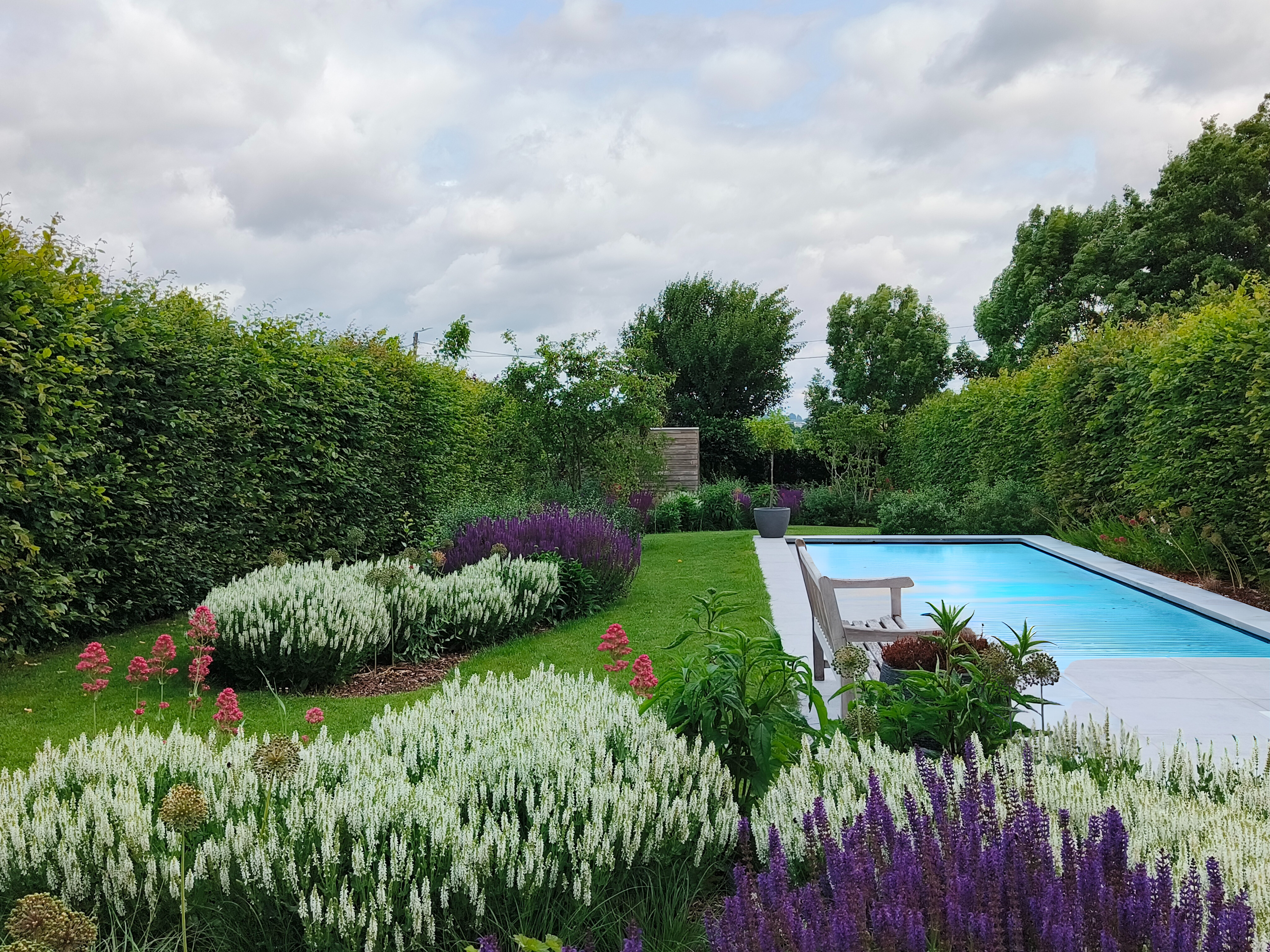 Beplanting - natuurlijke tuin - bloeiende vaste planten