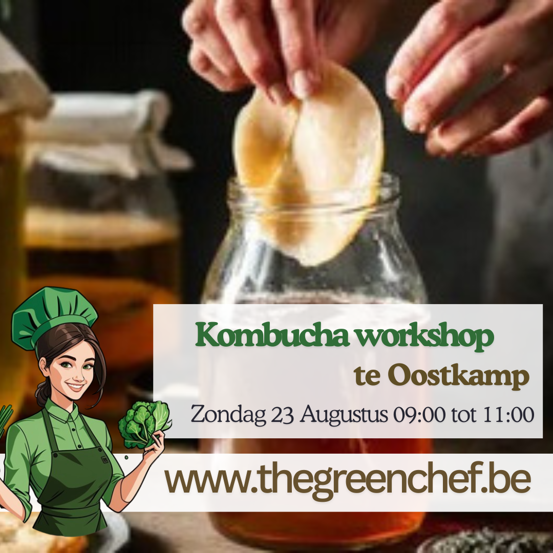 Kombucha brouwen te Oostkamp