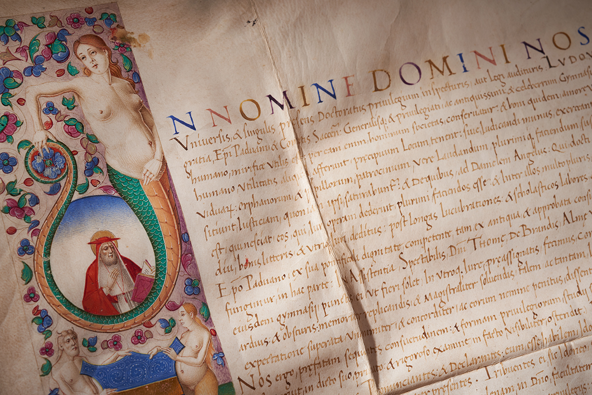 Diploma van Hieronymus Busleyden, 1503