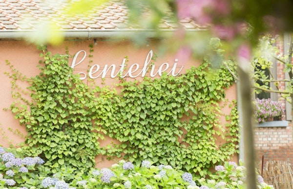 Lentehei