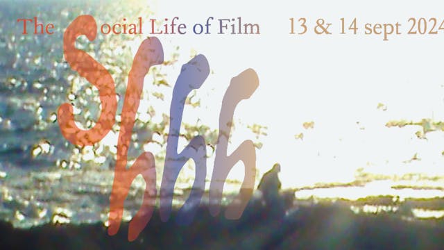 one sea, three seas - the camelia committee