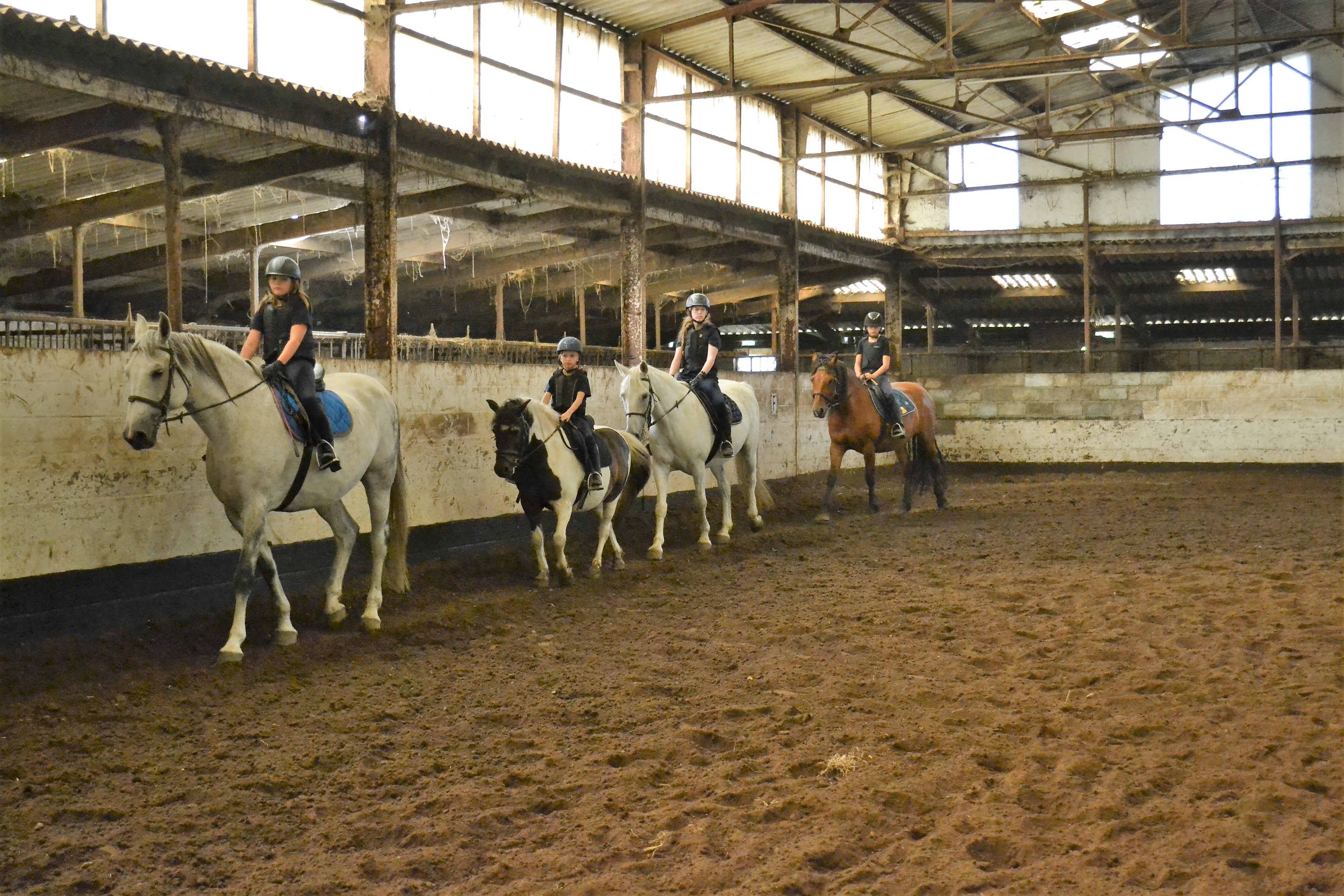 sportkamp paardrijden