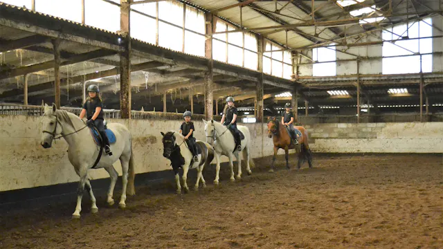 sportkamp paardrijden