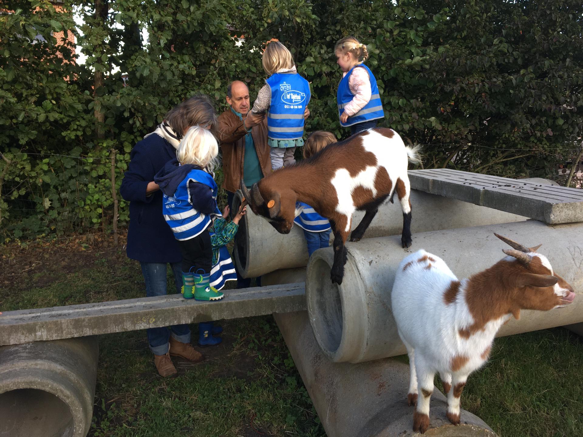 Knuffelmoment dieren