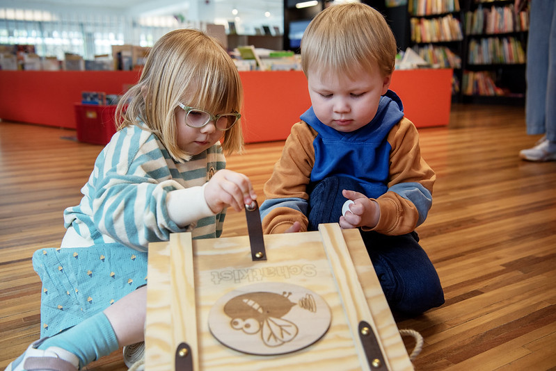 Foto Schatten van Vlieg