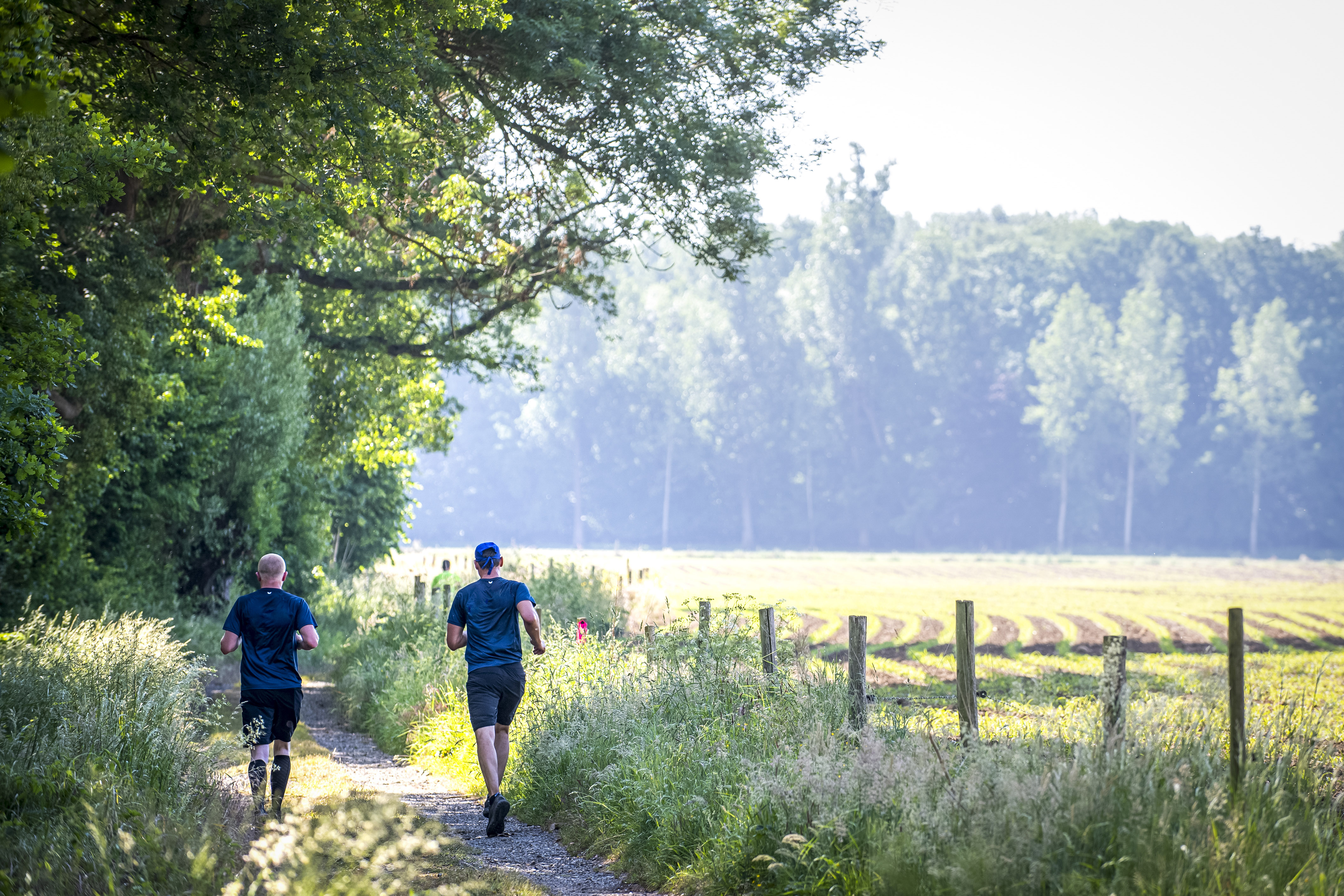 Bloesemtrail Run - Walk - Taste