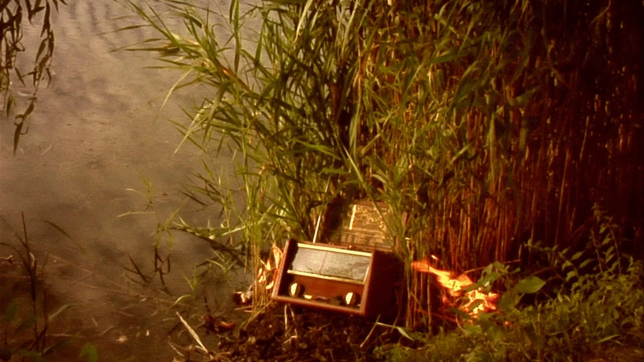 The Dream and the Radio