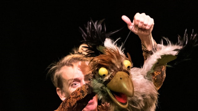 VreemdeVogel_thumbnail.jpg