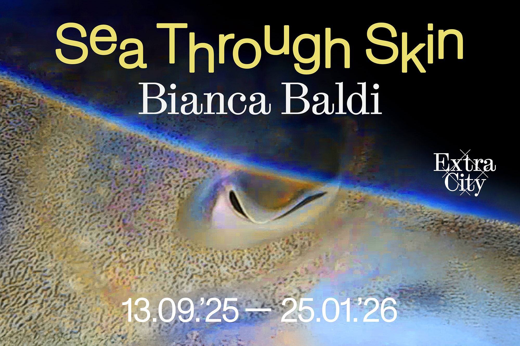 Een bewerkte detailfoto van een zeekat ingezoomd op zijn oog.