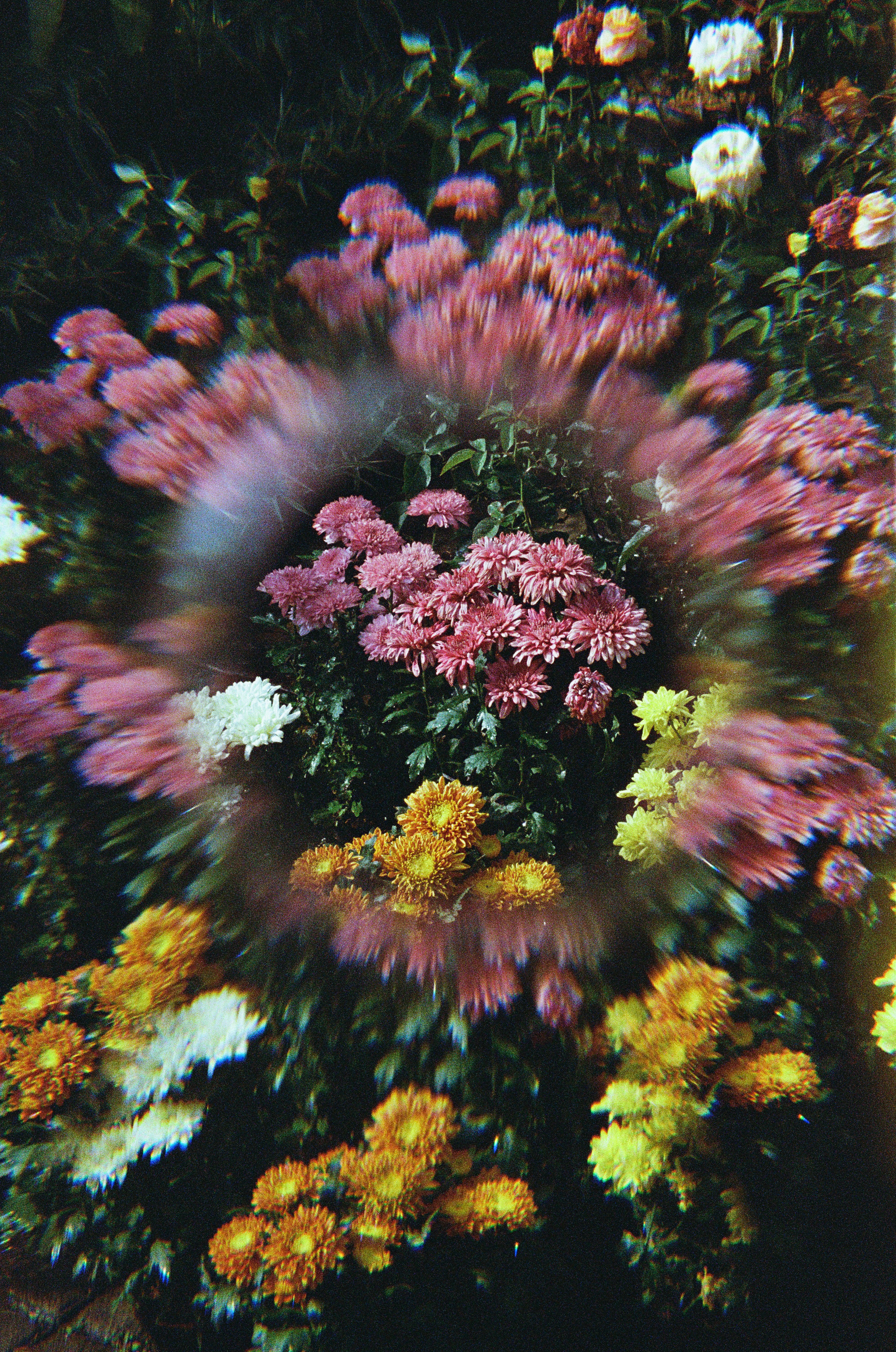 Kamermuziek: De ondraaglijke lichtheid van het bestaan