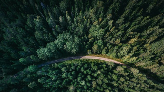 Bruckner 4 - Eliahu Inbal, Lise de la Salle