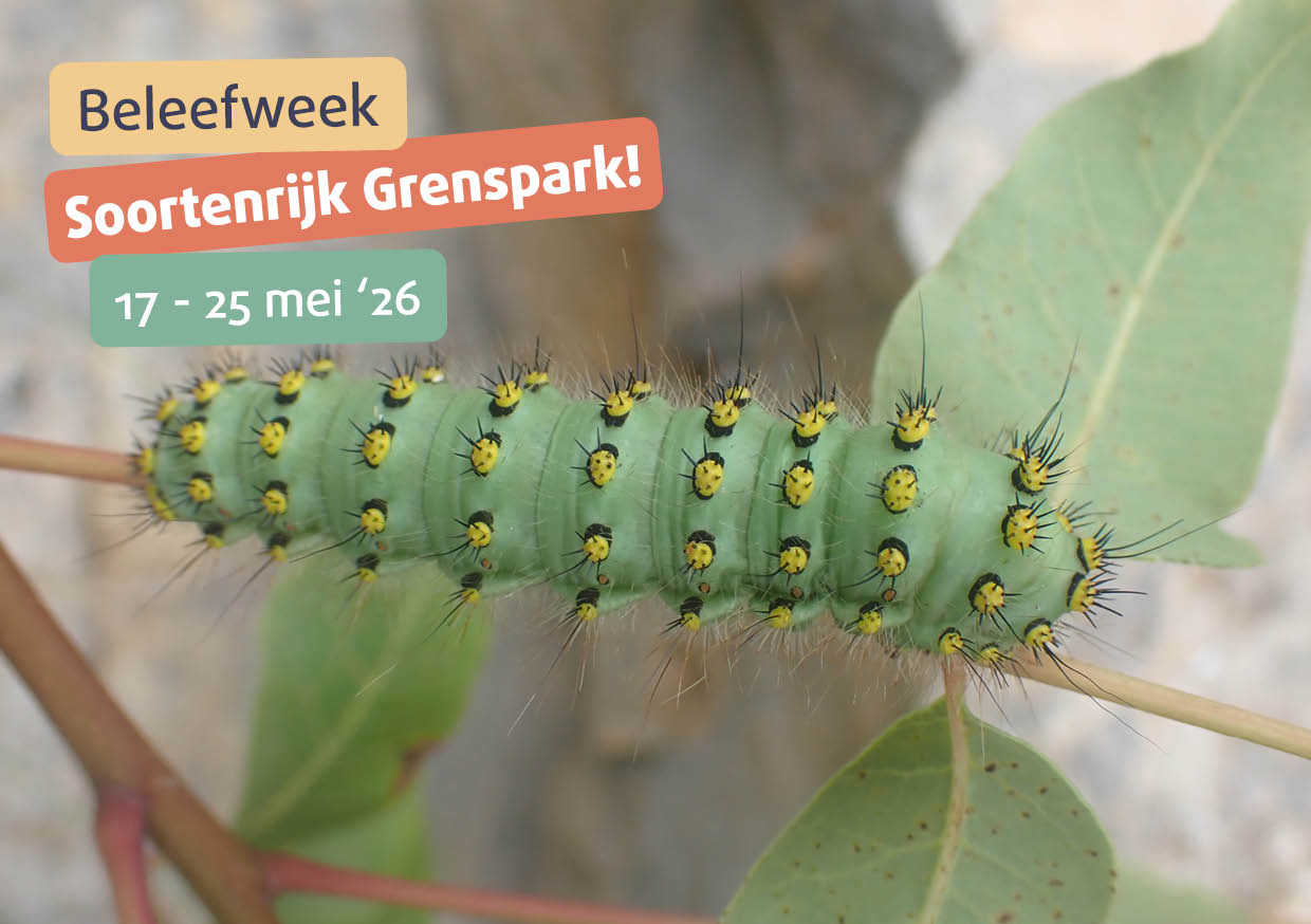 Overleven op zes pootjes – Lezing Petra Vijncke