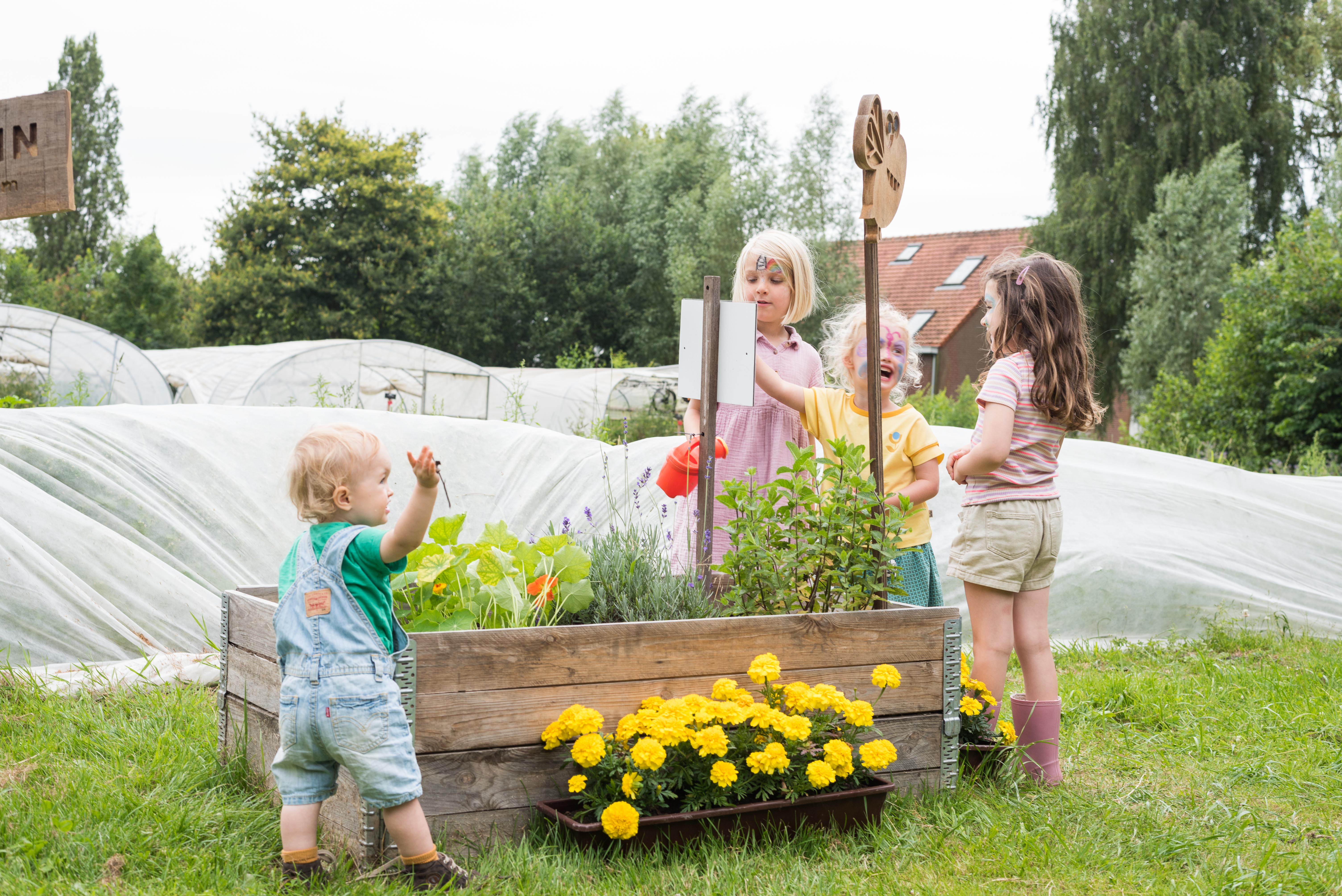 Schat van Vlieg in Plukhof Beernem