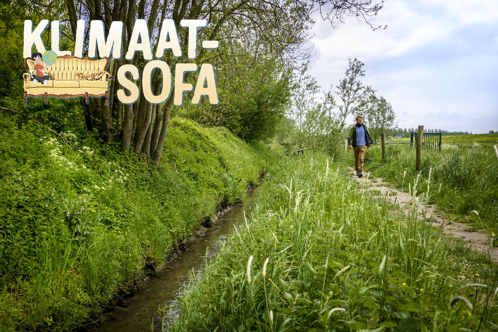 Hebben de natuur en wilde dieren recht op rechten?