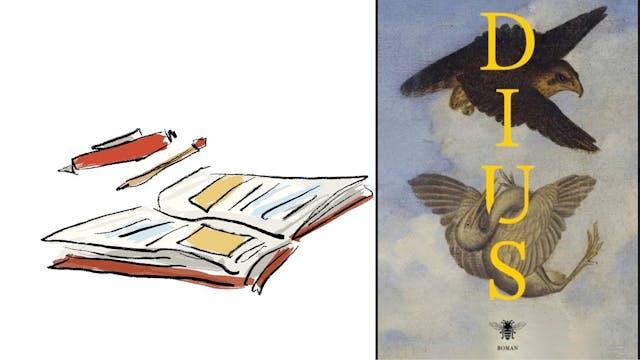 Grafiek Davidsfonds - Cover boek