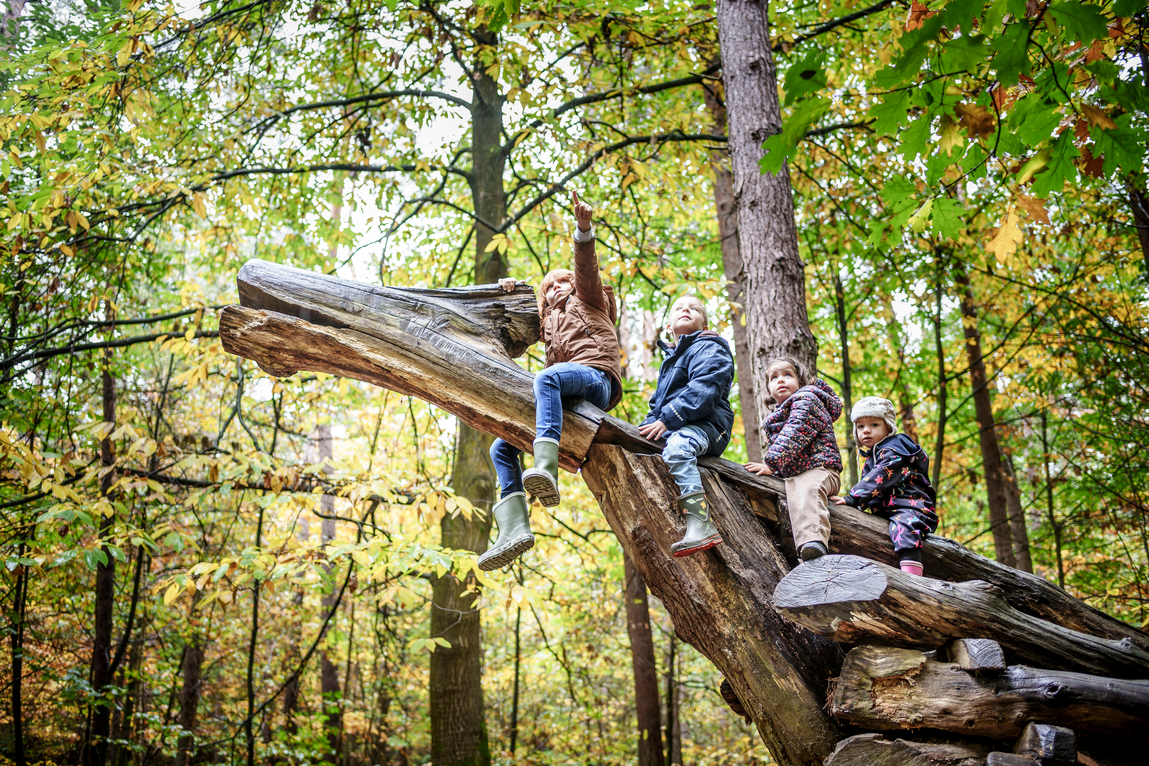 Speelbos Everzwijnbad