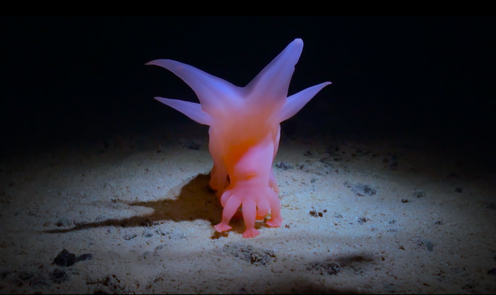 How Deep is Your Love