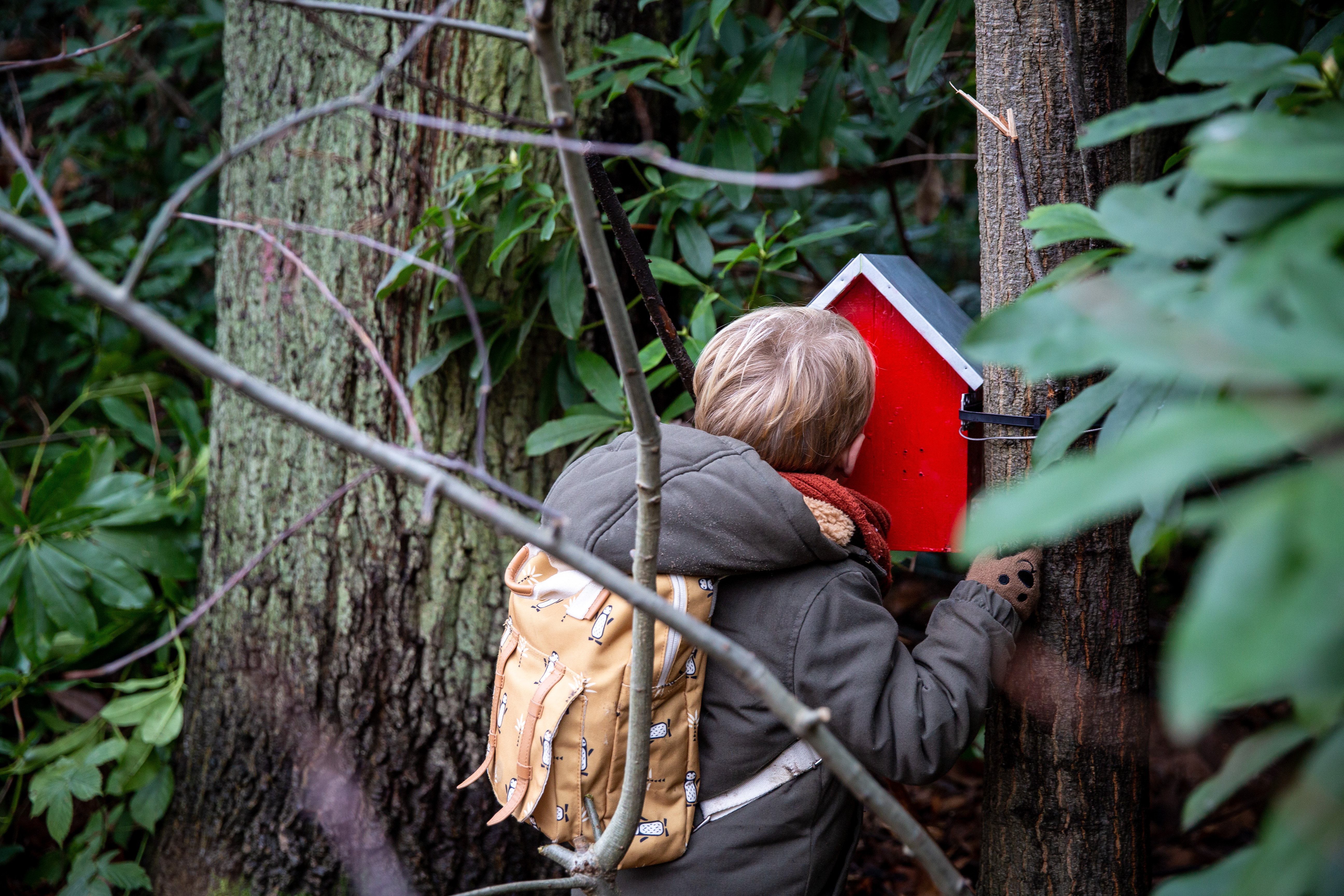 Pinkies en hun kriebelvrienden