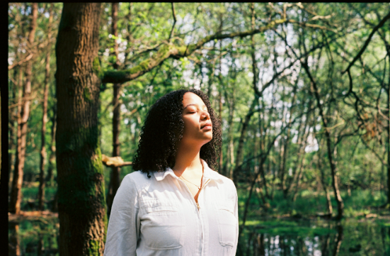 Emma Hessels, Boulevard Solar