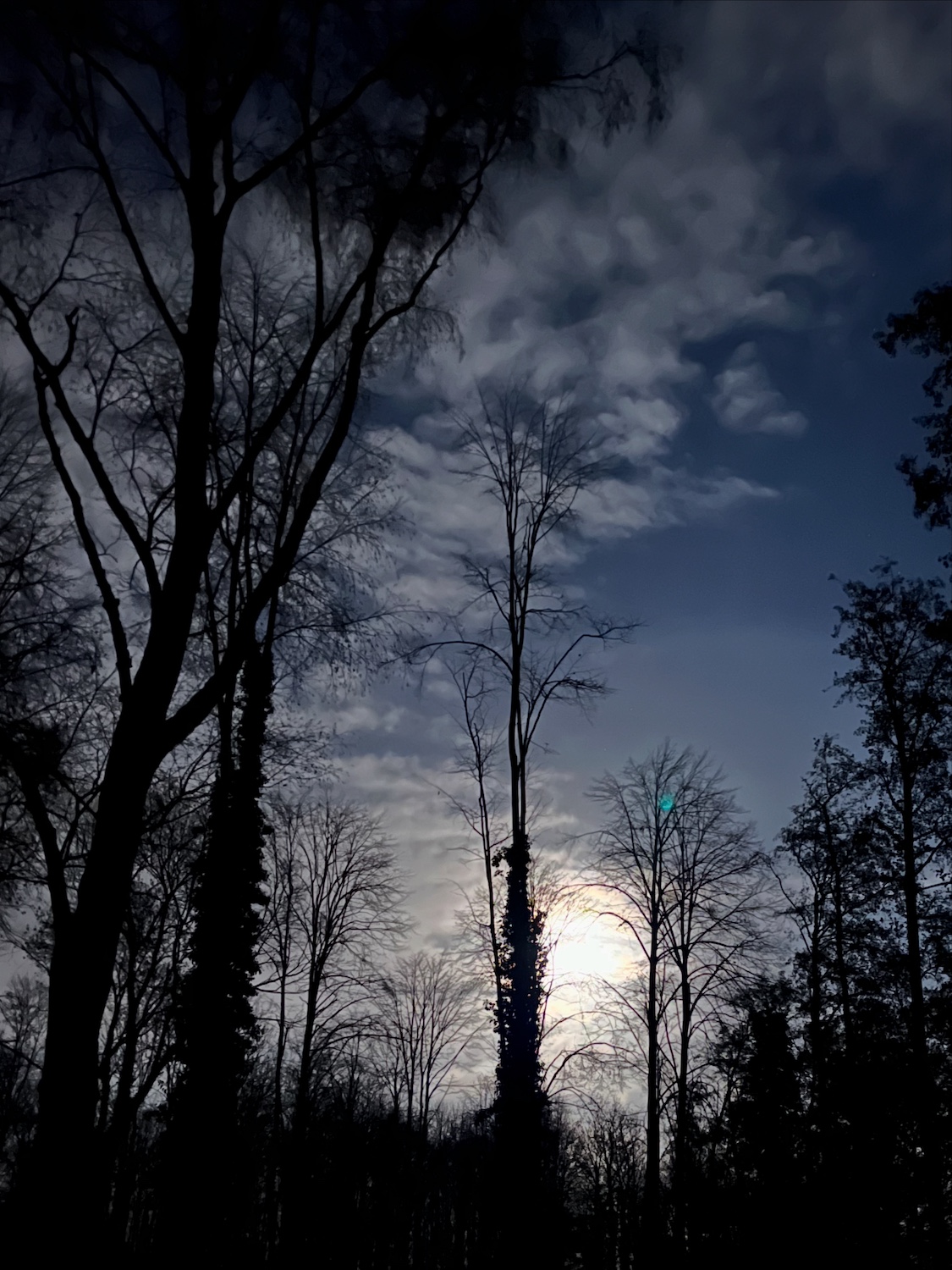 volle maan bosbad februari