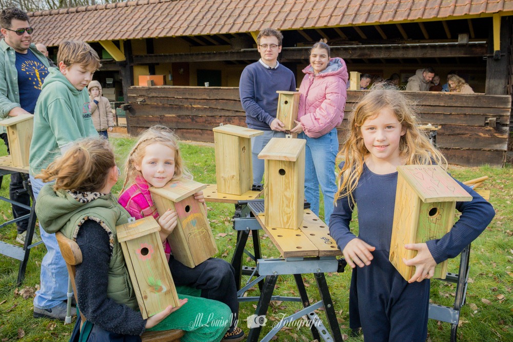 Vogel(t)huisjes maken