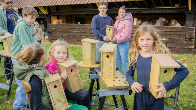 Vogel(t)huisjes maken