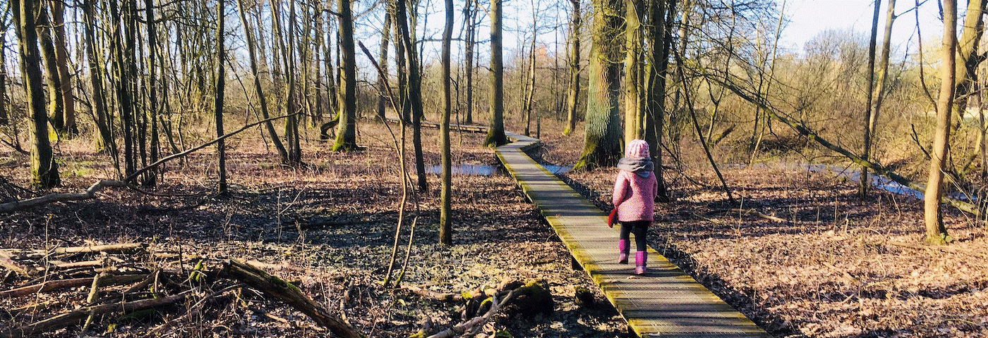 Image for gzbd activity