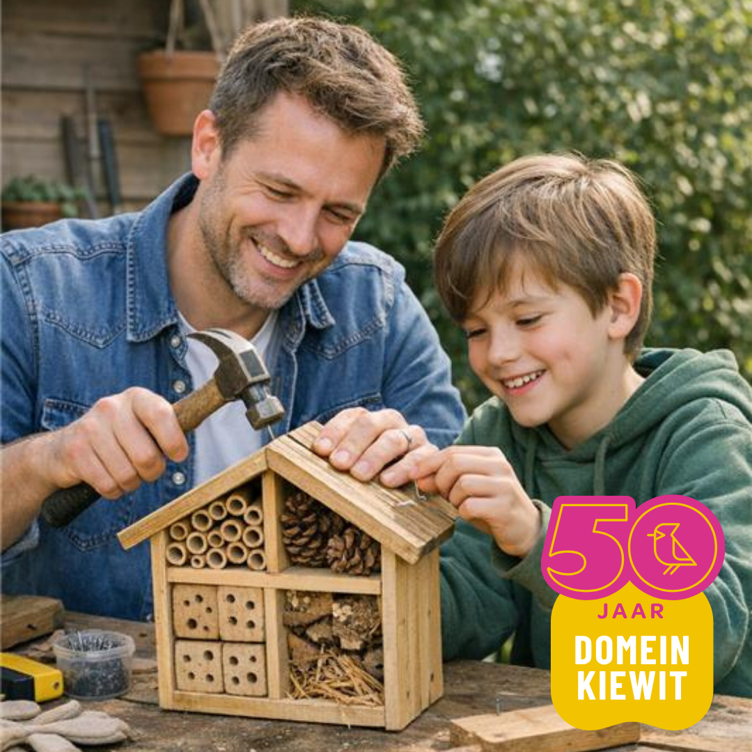 Vader en zoon timmeren insectenhotel