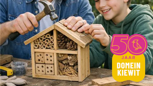 Vader en zoon timmeren insectenhotel