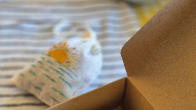 WhatsApp Image 2025-12-08 at 10.31