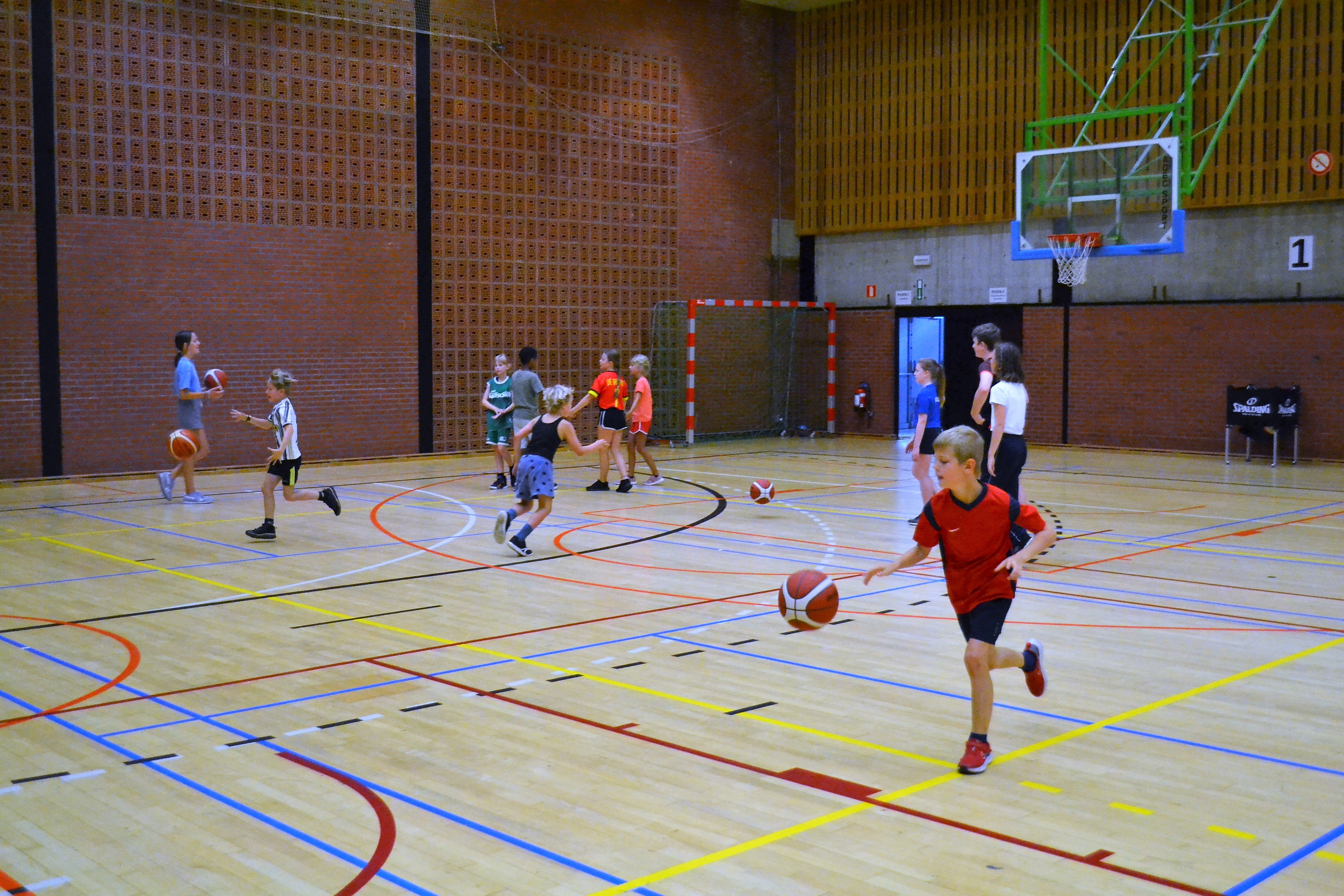 sportkamp basketbal
