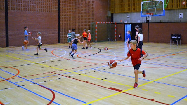 sportkamp basketbal