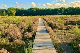 Telkens samenkomst en vertrek vanuit Muizen-Dorp. 