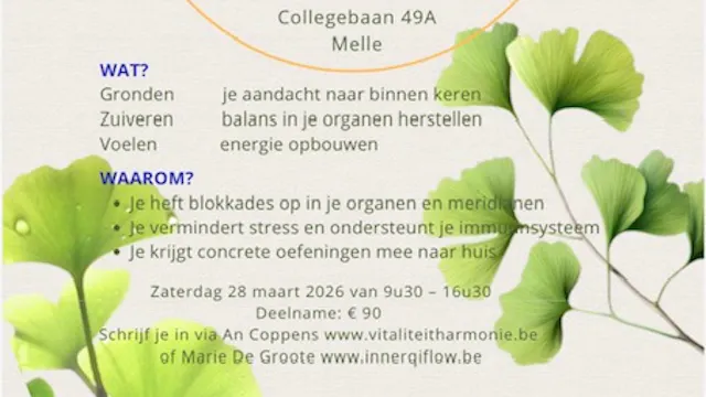 Qigong detox workshop 28 maart 2026