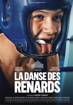 Le danse des renards