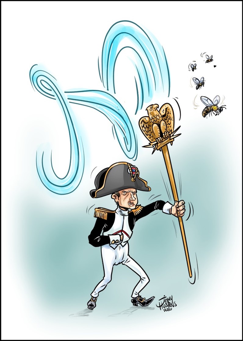 Afbeelding1 Napoleon 2