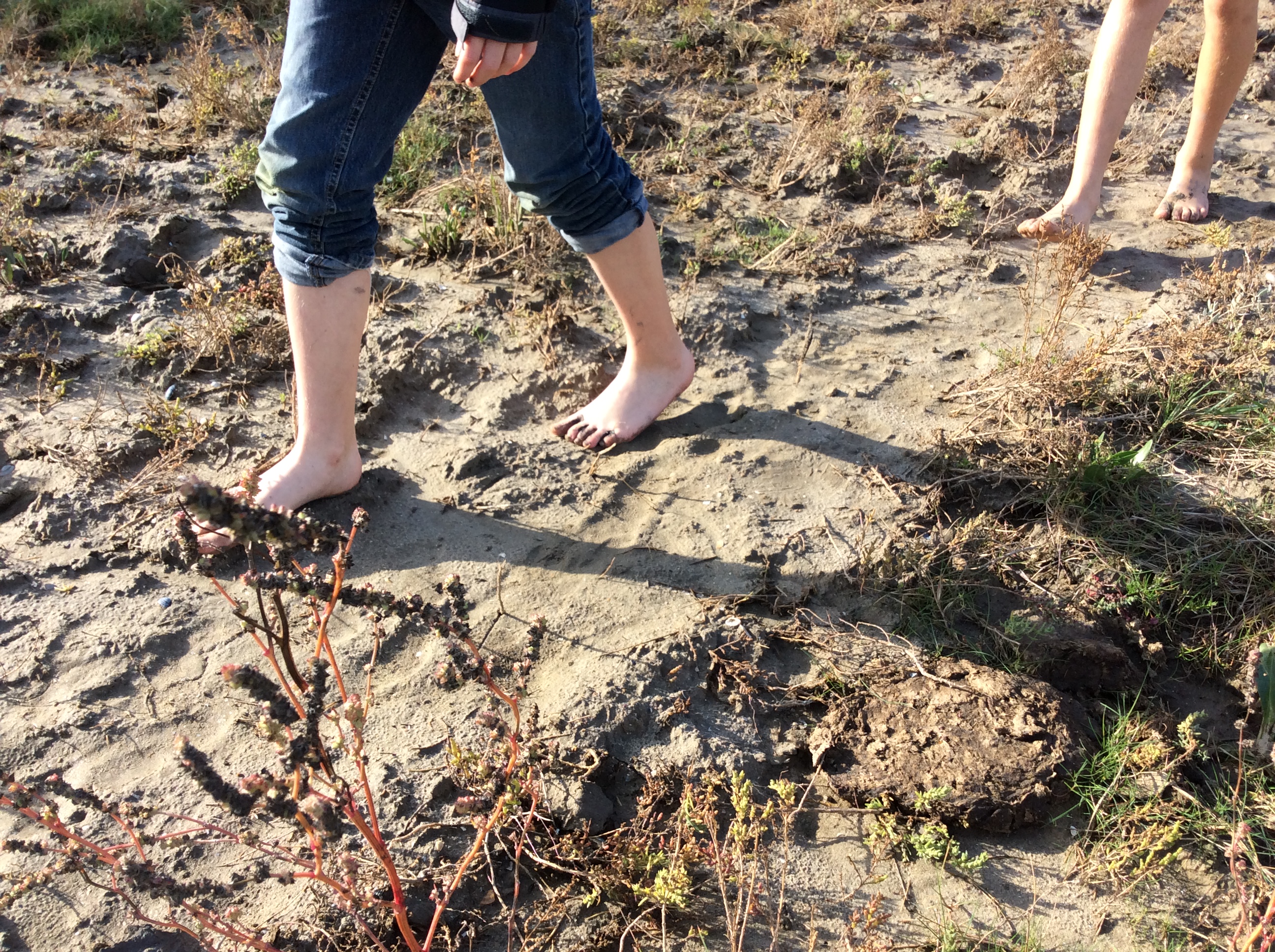 Zoek de schat van Vlieg in het Zwin Natuur Park