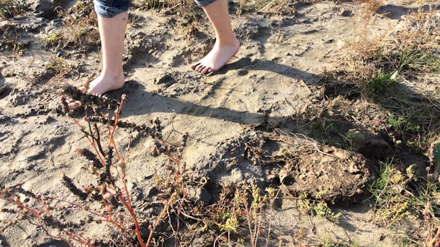 Zoek de schat van Vlieg in het Zwin Natuur Park