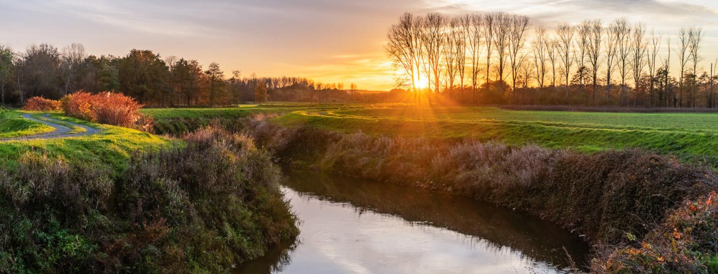 Demervallei bij zonsondergang