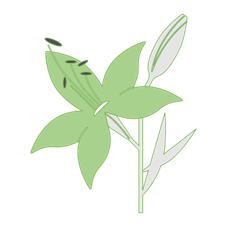 logo Natuurwandelaars