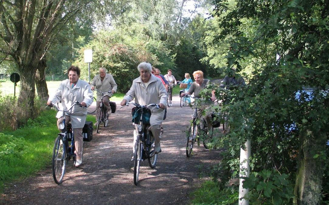 Image for gzbd activity