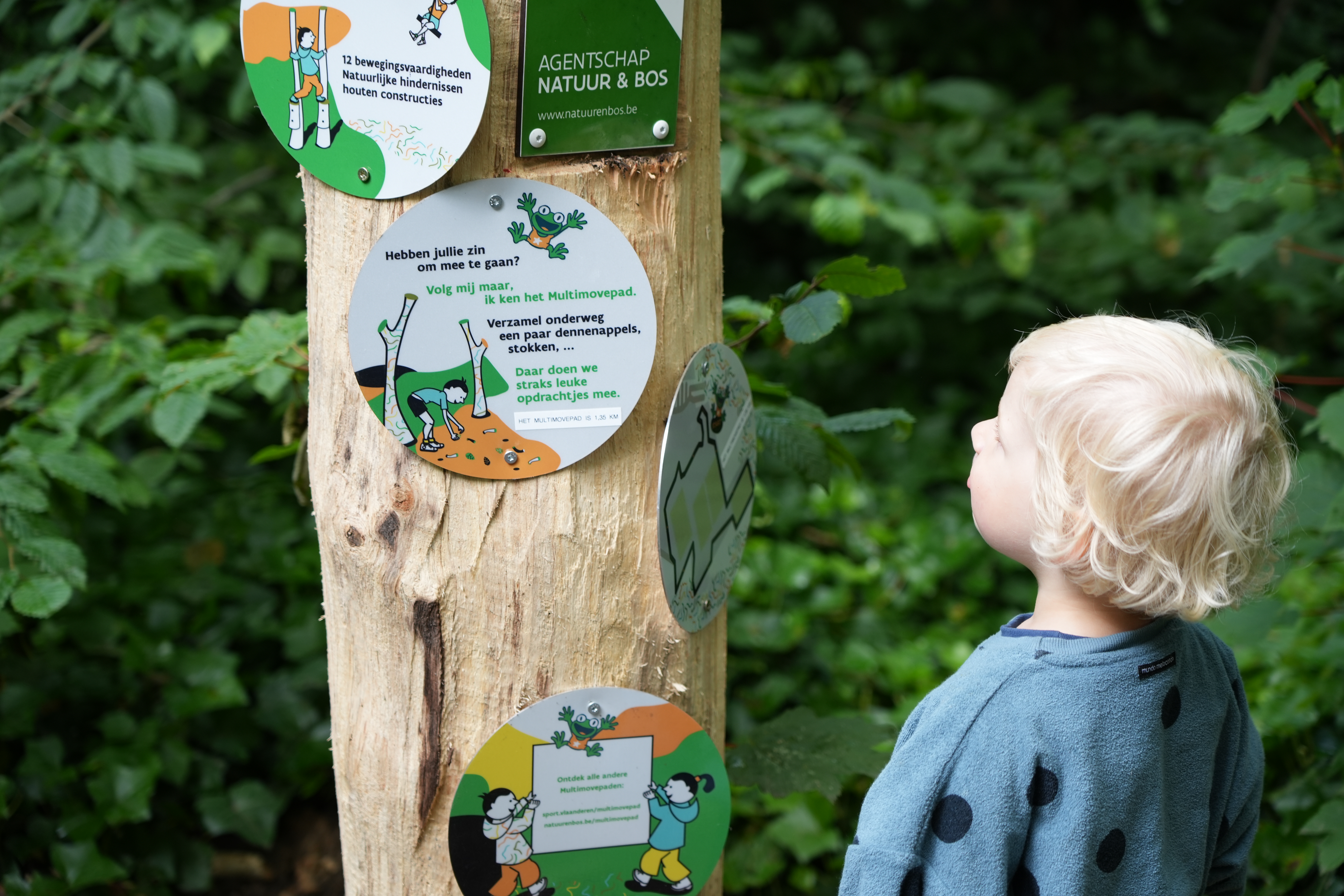 Multimovepad Eernegem 