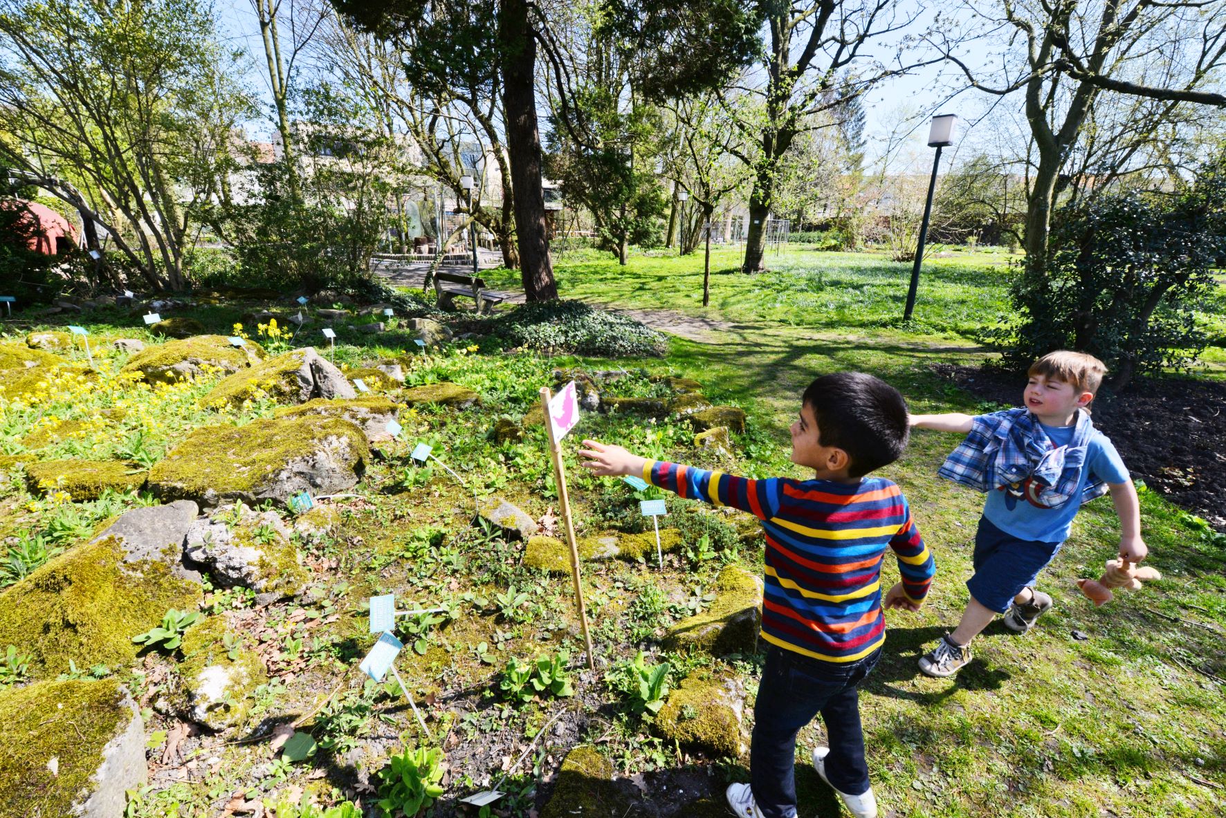 Twee kindjes speuren in de plantentuin van het musuem